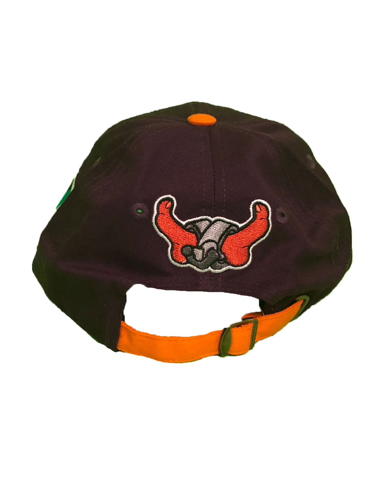 Tubman TrackStars dad cap
